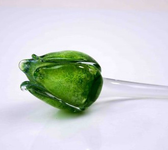 Tulp, groen